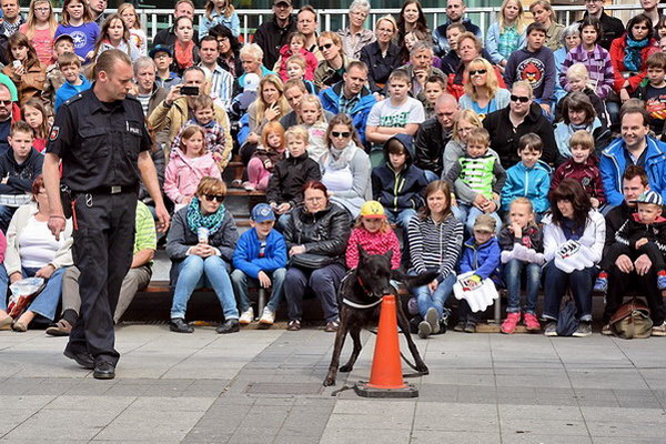Polizeishow   035.jpg